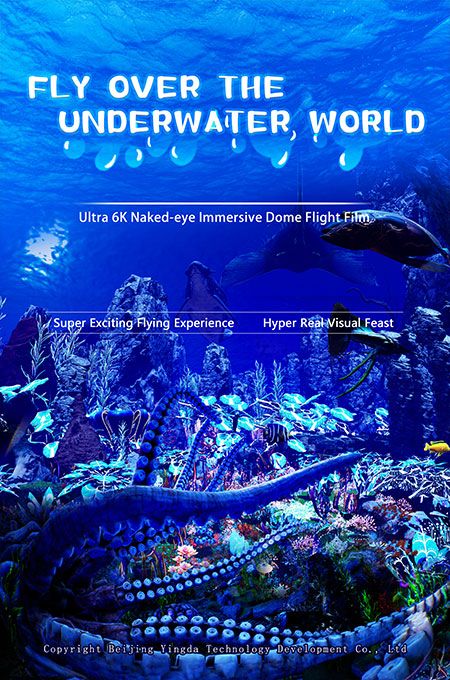 Fly Over the Underwater World