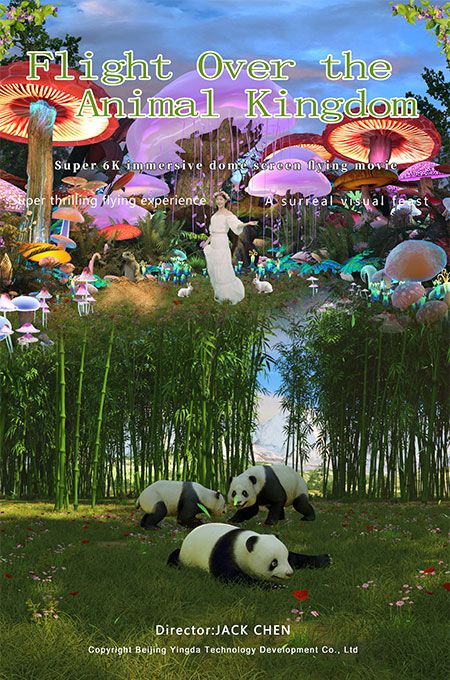 Fly Over The Animal Kingdom